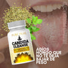 CANDIDA CLEANSE
